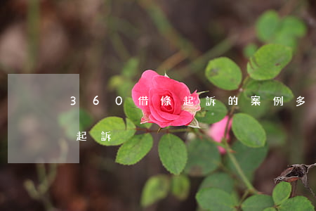 360借條起訴的案例多嗎（360借條真實起訴）