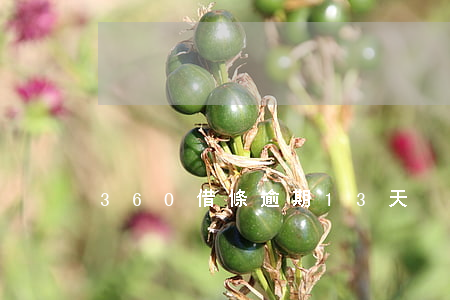 360借條逾期13天