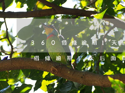 360借條逾期1天后面都借不了-360借條逾期1天后面都借不了了怎么辦