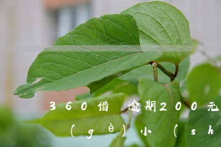 360借條逾期200元(360借條逾期8個(gè)小時(shí))