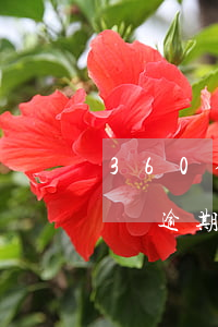 360借條逾期2天有什么影響-360借條逾期2天有什么影響沒(méi)