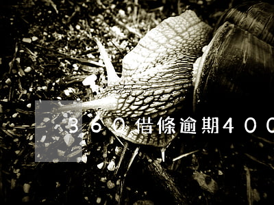 360借條逾期400天