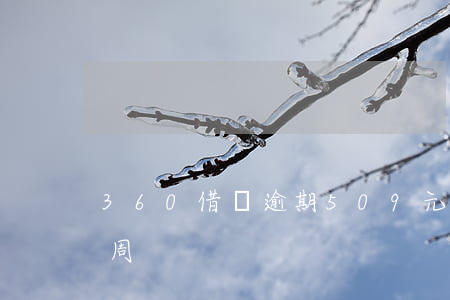360借條逾期509元(360借條逾期一周)