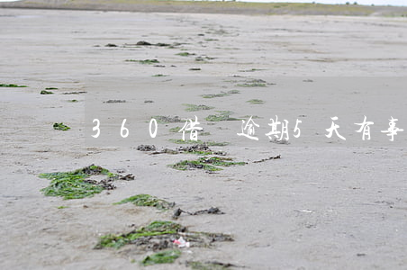 360借條逾期5天有事嗎