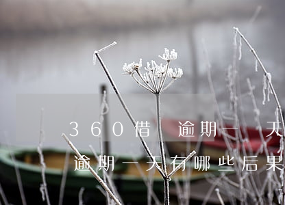 360借條逾期一兩天有罰息嗎(360借條逾期一天有哪些后果?360借條逾期罰息是如何...)