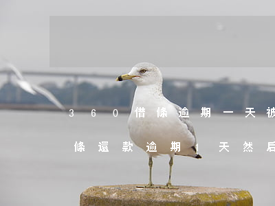 360借條逾期一天被恐嚇還全款(360借條還款逾期1天,然后全部還掉了,有事嗎)