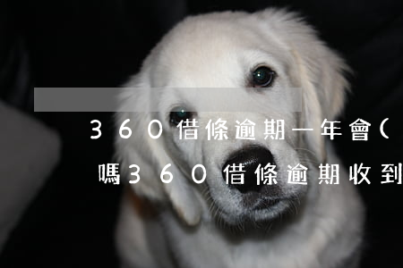 360借條逾期一年會(huì)寄法院信嗎 360借條逾期收到訴前通知函是真的嗎?