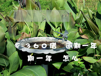 360借條逾期一年會怎么辦(360借條逾期一年會怎么辦)