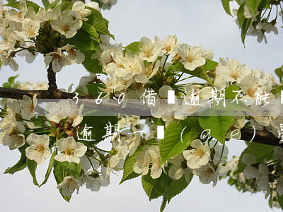 360借條逾期不能還款怎么半 360借條逾期一個(gè)星期沒(méi)還,會(huì)不會(huì)讓還全款