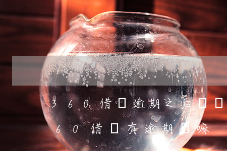 360借條逾期之后會讓你一次性還清嗎（360借條有逾期費嘛）