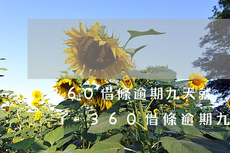 360借條逾期九天就沒(méi)有額度了-360借條逾期九天就沒(méi)有額度了怎么辦
