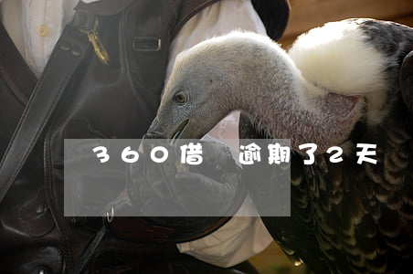 360借條逾期了2天還錢