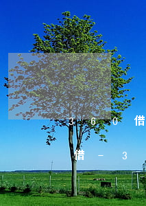 360借條逾期了什么時(shí)候還能借-360借條逾期了什么時(shí)候還能借出來