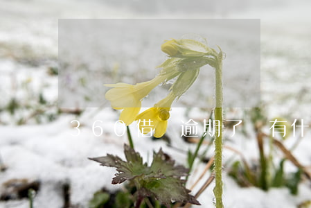 360借條逾期了會有什么后果-