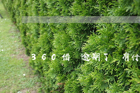 360借條逾期了會有什么懲罰