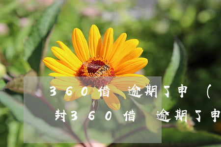 360借條逾期了申請(qǐng)法院查封(360借條逾期了申請(qǐng)法院查封)