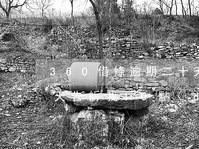 360借條逾期二十天-360借條逾期3天,告訴我10點(diǎn)半就要還款