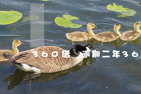360借條逾期二年(360借條2年沒還)