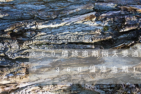 360借條逾期兩天要通知村委會(huì)-360借條逾期10天說(shuō)要給村委會(huì)打電話(huà)是真的嗎