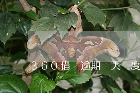 360借條逾期兩天額度用不了-
