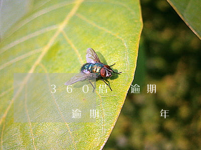 360借條逾期兩萬兩年沒還了-360借條逾期兩萬兩年沒還了會怎么樣