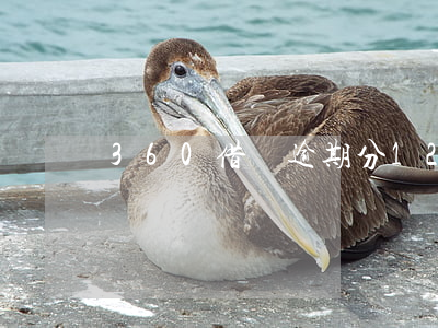 360借條逾期分12期