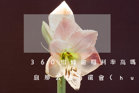 360借條逾期利率高嗎(360借條逾期利息那么高,不還會(huì)怎么樣)