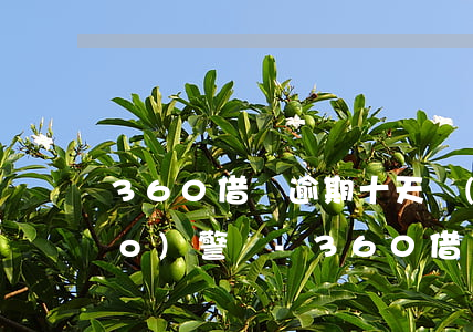360借條逾期十天會(huì)報(bào)警嗎-360借條逾期10天然后還了會(huì)被起訴嗎