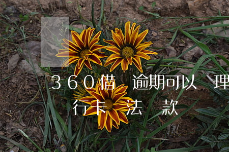 360借條逾期可以辦理信用卡 360借條銀行卡無法還款