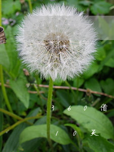 360借條逾期后延期(360借條可以延期10天)