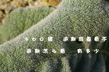 360借條逾期后查看不到合同(360借條逾期怎么看還有多少錢沒有還)