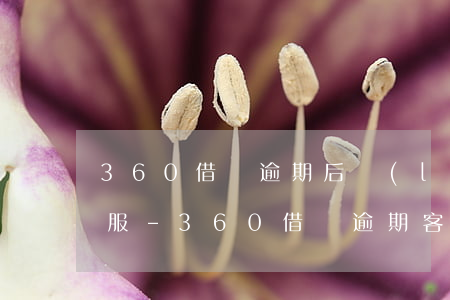 360借條逾期后聯(lián)系不上客服-360借條逾期 客服人員態(tài)度惡劣怎么辦