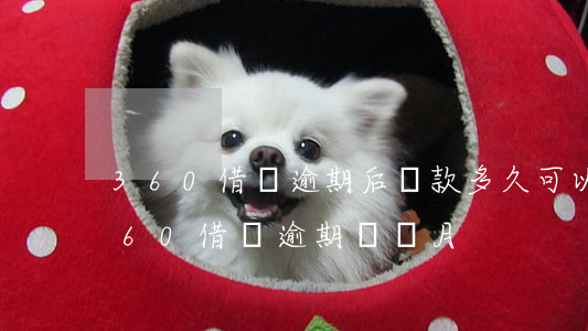 360借條逾期后還款多久可以重新借款（360借條逾期幾個月）