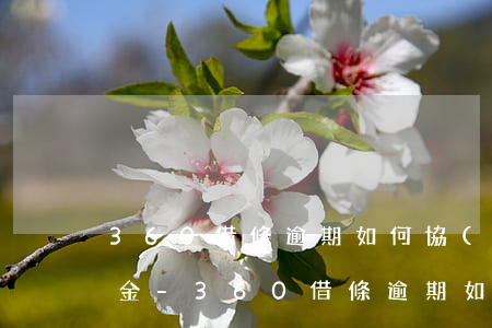 360借條逾期如何協(xié)商只還本金-360借條逾期如何協(xié)商只還本金的錢