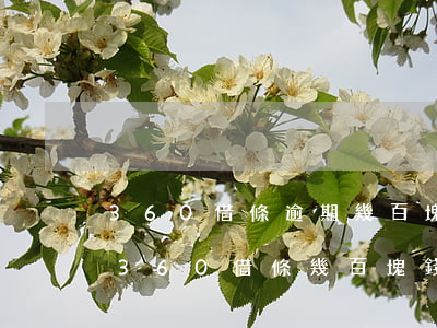 360借條逾期幾百塊上法務(wù)部嗎(360借條幾百塊錢逾期一個(gè)月,說要寄律師函)