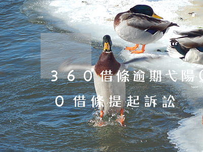 360借條逾期弋陽(yáng)法院(360借條提起訴訟)