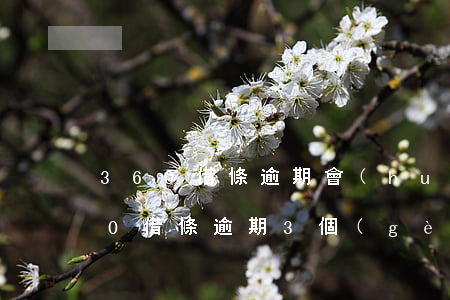 360借條逾期會(huì)上門么-360借條逾期3個(gè)月說(shuō)要起訴是真的嗎