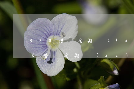 360借條逾期會(huì)入征信嗎 360借條逾期會(huì)不會(huì)體現(xiàn)到征信報(bào)告上