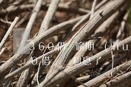 360借條逾期會(huì)利滾利嗎(360借條漲利息了)