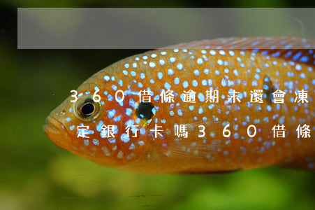 360借條逾期未還會凍結(jié)我綁定銀行卡嗎（360借條逾期會凍結(jié)微信錢包嗎）