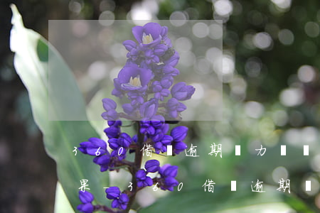 360借條逾期無力償還最壞結(jié)果-360借條逾期無力償還2021新規(guī)定