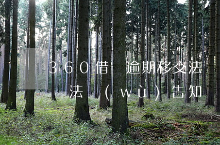 360借條逾期移交法務(wù)(360借條法務(wù)告知)