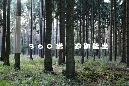360借條逾期能坐飛機(jī)嗎