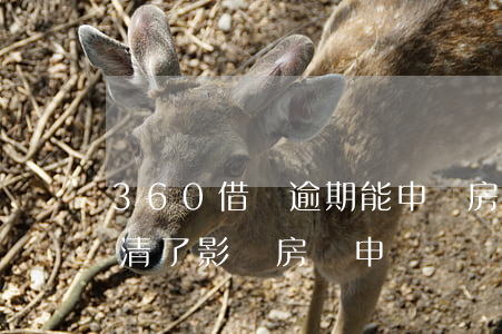 360借條逾期能申請房貸嗎(360借條還清了影響房貸申請嗎)