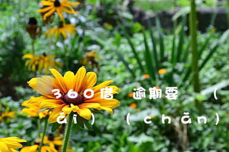 360借條逾期要凍結(jié)我財(cái)產(chǎn)(360借條凍結(jié)了怎么辦)