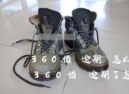 360借條逾期該怎么協(xié)商知乎(360借條逾期了怎么辦?第一時(shí)間要做的是這件事!)