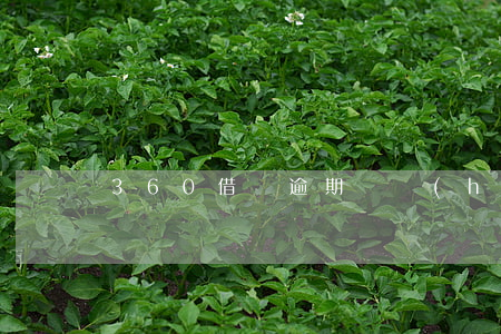360借條逾期賬號(hào)異常