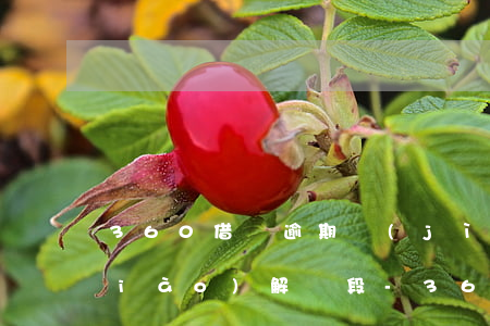 360借條逾期進(jìn)入訴前調(diào)解階段-360借條逾期進(jìn)入訴前調(diào)解階段怎么辦