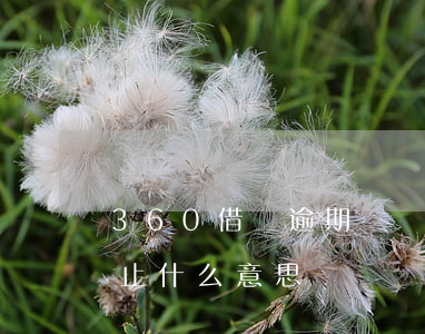 360借條逾期違約 360借條逾期合同終止什么意思