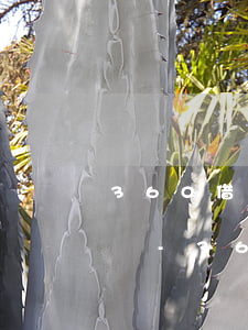 360借條逾期還款20天會(huì)怎樣-360借條逾期還款20天會(huì)怎樣呢